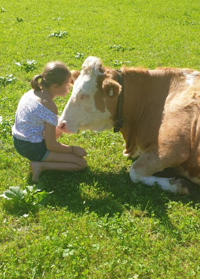Ferienwohnungen Marchanger Niederau Exteriör bild