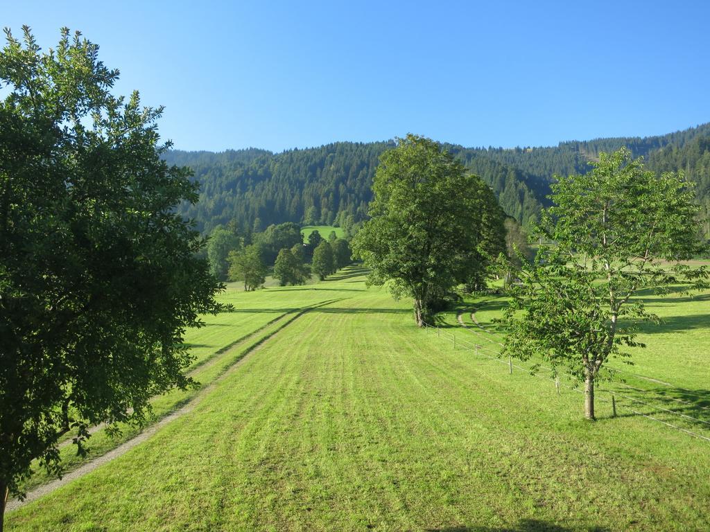 Ferienwohnungen Marchanger Niederau Exteriör bild