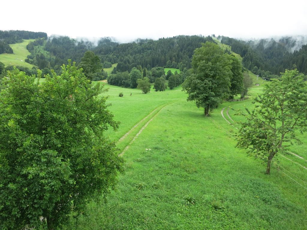 Ferienwohnungen Marchanger Niederau Rum bild